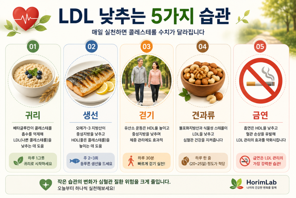ldl 낮추는 5가지 습관 ldl 낮추는 5가지 습관