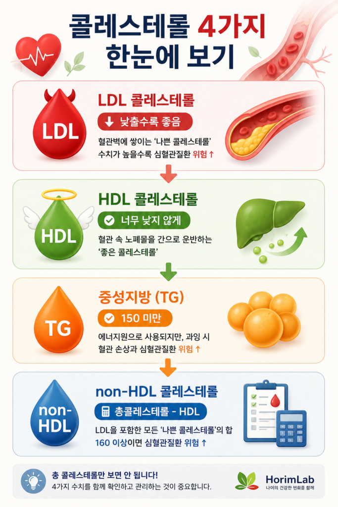 콜레스테롤 4가지 한눈에보기 콜레스테롤 4가지 한눈에보기